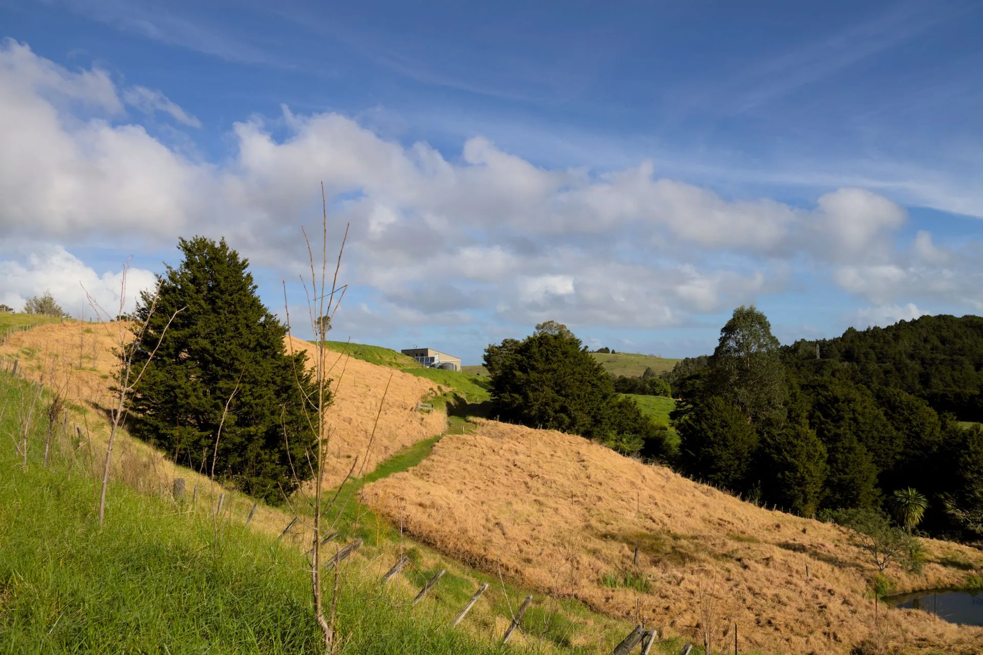 New Zealand natural landscape