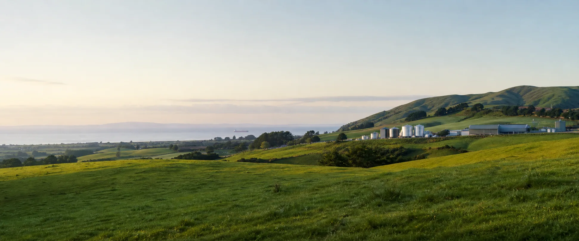 New Zealand pasture and dairy countryside
